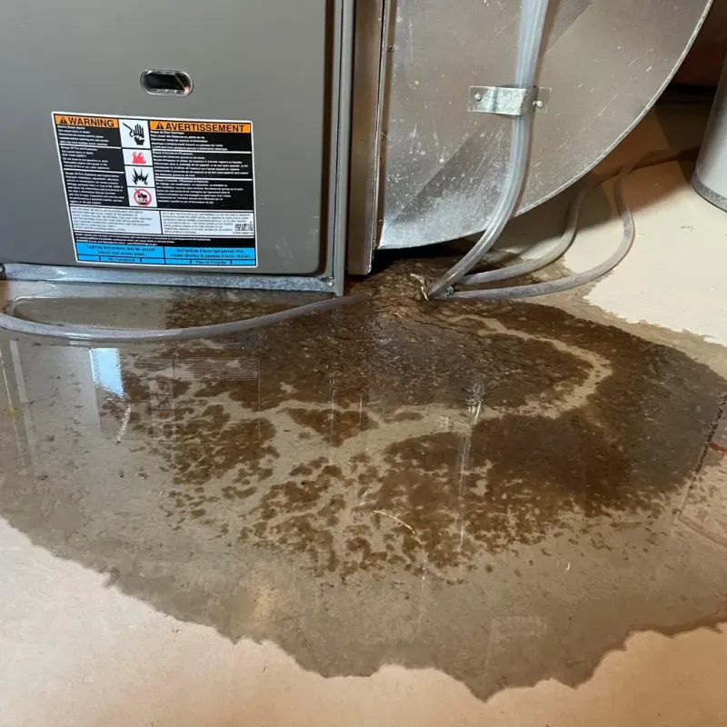 Appliance Leak Cleanup in Indian Harbour Beach, FL